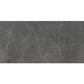 Berrys Graffite - porcelain (Polished, 24x48) tile